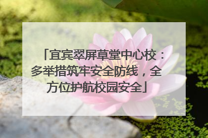 宜宾翠屏草堂中心校：多举措筑牢安全防线，全方位护航校园安全