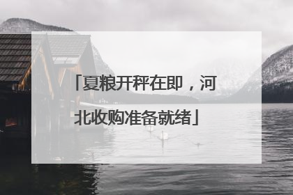 夏粮开秤在即，河北收购准备就绪