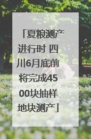 夏粮测产进行时 四川6月底前将完成4500块抽样地块测产