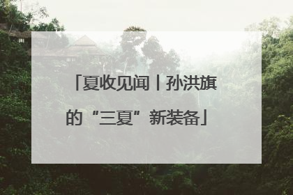 夏收见闻丨孙洪旗的“三夏”新装备