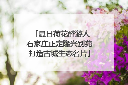 夏日荷花醉游人 石家庄正定隆兴别苑打造古城生态名片