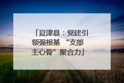 夏津县：党建引领强根基 “支部主心骨”聚合力
