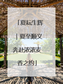 夏耘生辉｜夏至顺义奔赴浓浓麦香之约