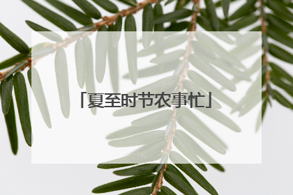 夏至时节农事忙
