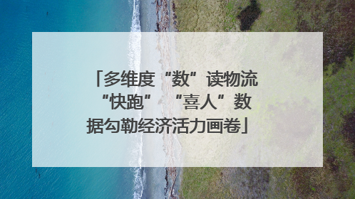多维度“数”读物流“快跑” “喜人”数据勾勒经济活力画卷