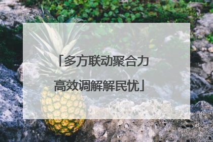 多方联动聚合力 高效调解解民忧