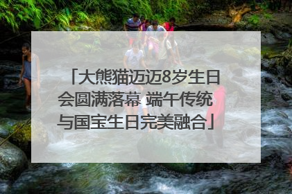 大熊猫迈迈8岁生日会圆满落幕 端午传统与国宝生日完美融合