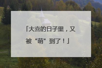 大喜的日子里，又被“萌”到了！