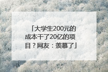 大学生200元的成本干了20亿的项目？网友：羡慕了