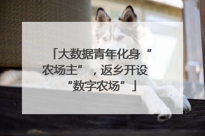 大数据青年化身“农场主”，返乡开设“数字农场”