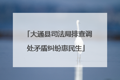 大通县司法局排查调处矛盾纠纷惠民生