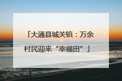 大通县城关镇：万余村民迎来“幸福田”