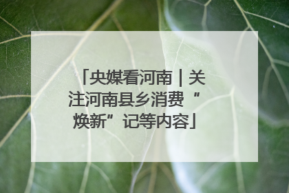 央媒看河南｜关注河南县乡消费“焕新”记等内容