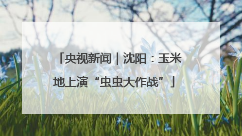 央视新闻｜沈阳：玉米地上演“虫虫大作战”