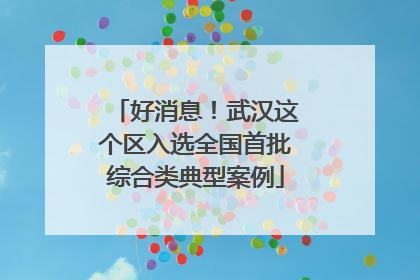 好消息！武汉这个区入选全国首批综合类典型案例
