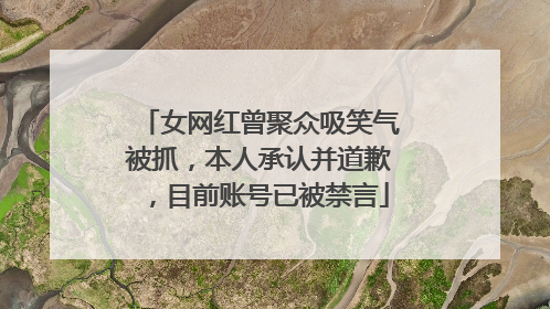 女网红曾聚众吸笑气被抓，本人承认并道歉，目前账号已被禁言