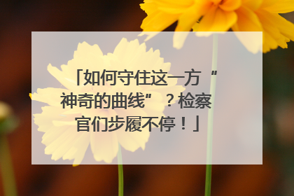 如何守住这一方“神奇的曲线”？检察官们步履不停！