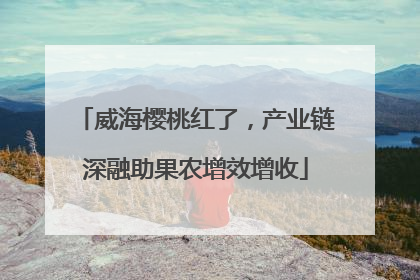 威海樱桃红了，产业链深融助果农增效增收