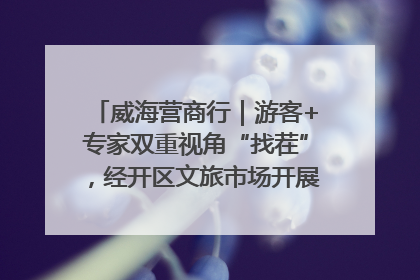 威海营商行｜游客+专家双重视角“找茬”，经开区文旅市场开展暑期前“体检”