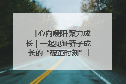 心向暖阳·聚力成长｜一起见证骄子成长的“破茧时刻”