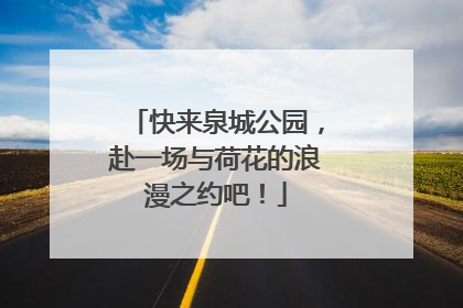 快来泉城公园，赴一场与荷花的浪漫之约吧！
