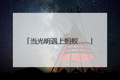 当光明遇上蚂蚁……
