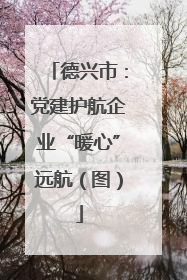 德兴市：党建护航企业“暖心”远航（图）