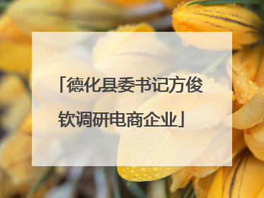德化县委书记方俊钦调研电商企业