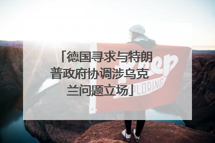 德国寻求与特朗普政府协调涉乌克兰问题立场