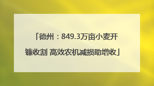 德州：849.3万亩小麦开镰收割 高效农机减损助增收