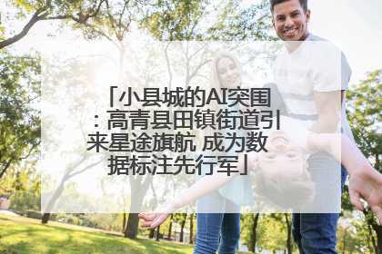 小县城的AI突围：高青县田镇街道引来星途旗航 成为数据标注先行军