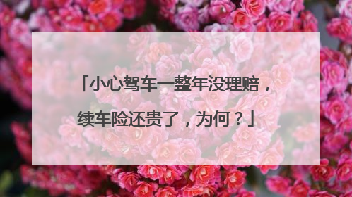 小心驾车一整年没理赔，续车险还贵了，为何？