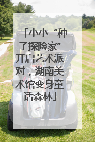 小小“种子探险家”开启艺术派对，湖南美术馆变身童话森林