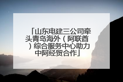 山东电建三公司牵头青岛海外（阿联酋）综合服务中心助力中阿经贸合作