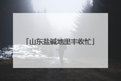 山东盐碱地里丰收忙