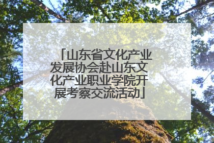 山东省文化产业发展协会赴山东文化产业职业学院开展考察交流活动