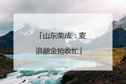 山东荣成：麦浪翻金抢收忙