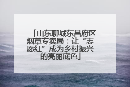 山东聊城东昌府区烟草专卖局：让“志愿红”成为乡村振兴的亮丽底色
