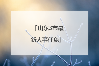 山东3市最新人事任免