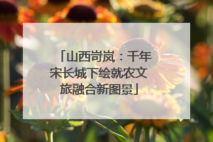 山西岢岚：千年宋长城下绘就农文旅融合新图景