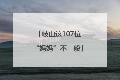 岐山这107位“妈妈”不一般
