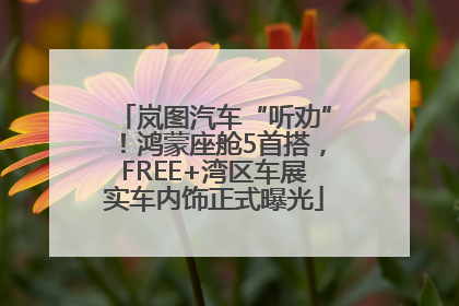 岚图汽车“听劝”！鸿蒙座舱5首搭，FREE+湾区车展实车内饰正式曝光