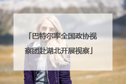 巴特尔率全国政协视察团赴湖北开展视察