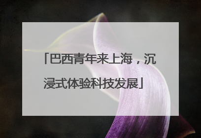巴西青年来上海，沉浸式体验科技发展
