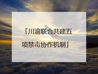 川渝联合共建五项禁毒协作机制