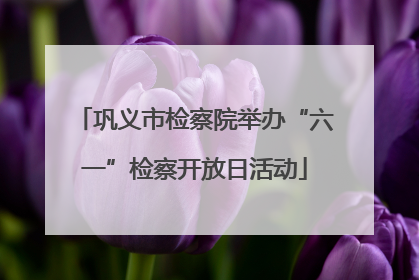 巩义市检察院举办“六一”检察开放日活动