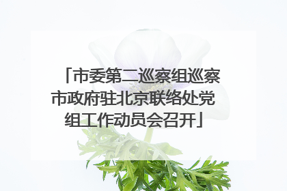 市委第二巡察组巡察市政府驻北京联络处党组工作动员会召开