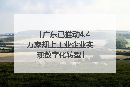 广东已推动4.4万家规上工业企业实现数字化转型