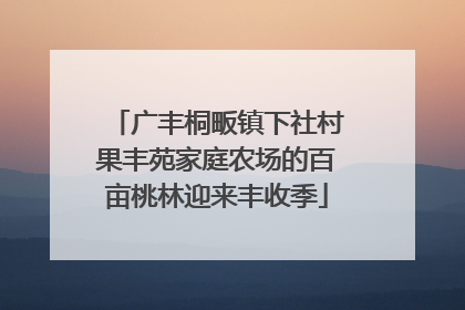 广丰桐畈镇下社村果丰苑家庭农场的百亩桃林迎来丰收季