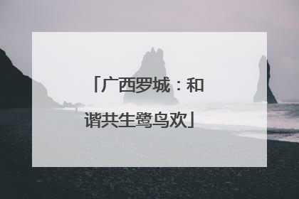 广西罗城：和谐共生鹭鸟欢